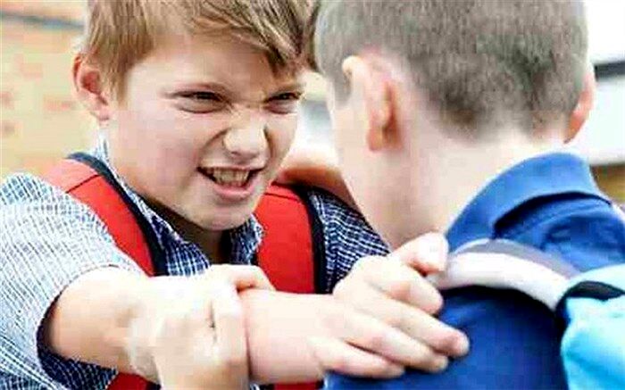 خشونت و پرخاشگری، زمینه‌ را برای سایر آسیب‌های اجتماعی  فراهم می‌کند