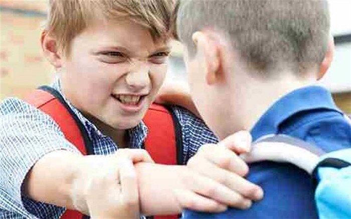 خشونت و پرخاشگری، زمینه‌ را برای سایر آسیب‌های اجتماعی  فراهم می‌کند
