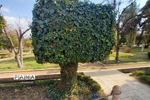 آشنایی‌ با باغ ارم شیراز