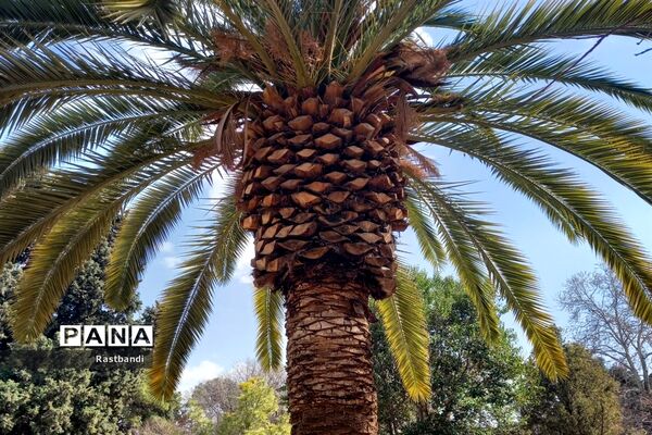 آشنایی‌ با باغ ارم شیراز