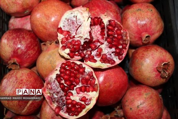 رزمایش کمک‌های مومنانه شب یلدا در فشافویه