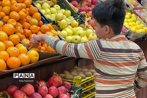 شور و شوق یلدایی در بازار خرید مردم