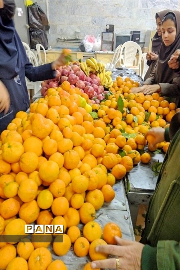 برگزاری پویش یلدای مهربانی در مدارس دخترانه شهرستان کاشمر