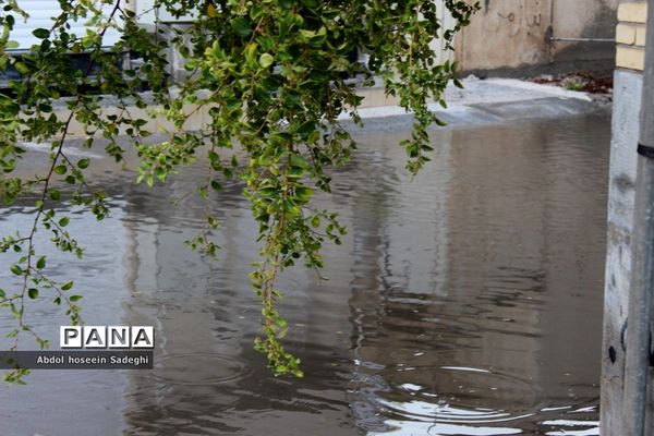 بارش باران و آبگرفتگی معابر در بوشهر