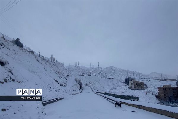 بارش برف زمستانی در پردیس