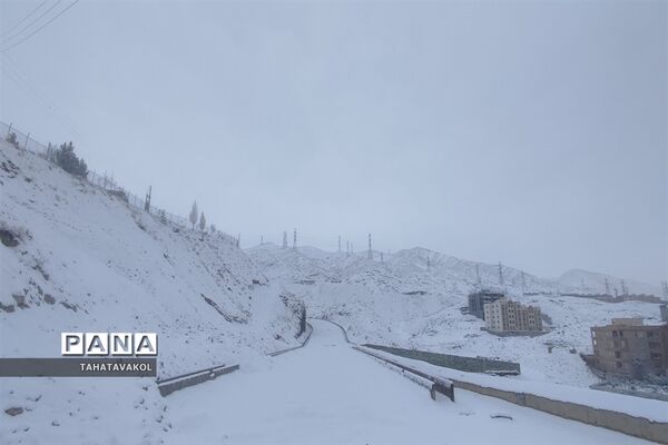 بارش برف زمستانی در پردیس