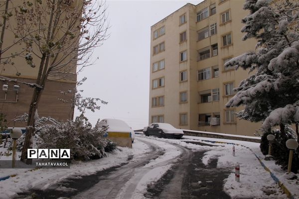 بارش برف زمستانی در پردیس