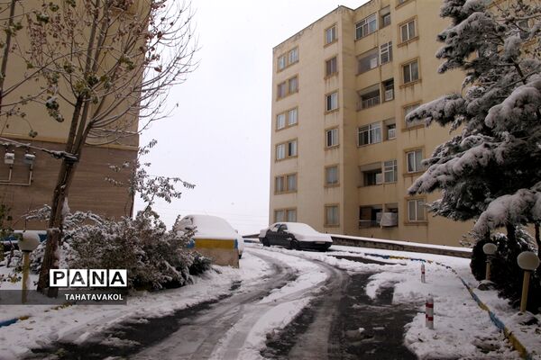 بارش برف زمستانی در پردیس
