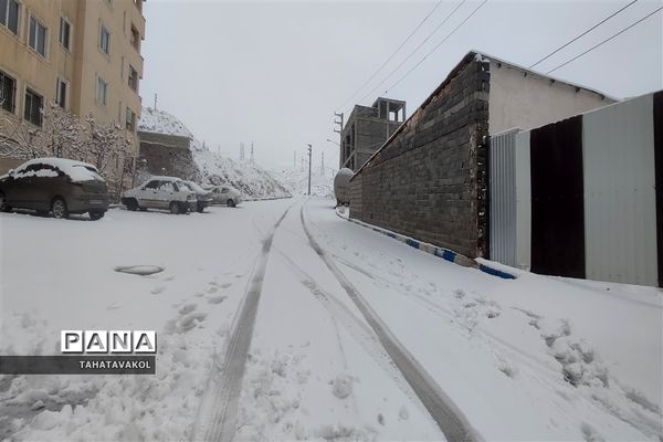 بارش برف زمستانی در پردیس