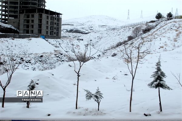 بارش برف زمستانی در پردیس