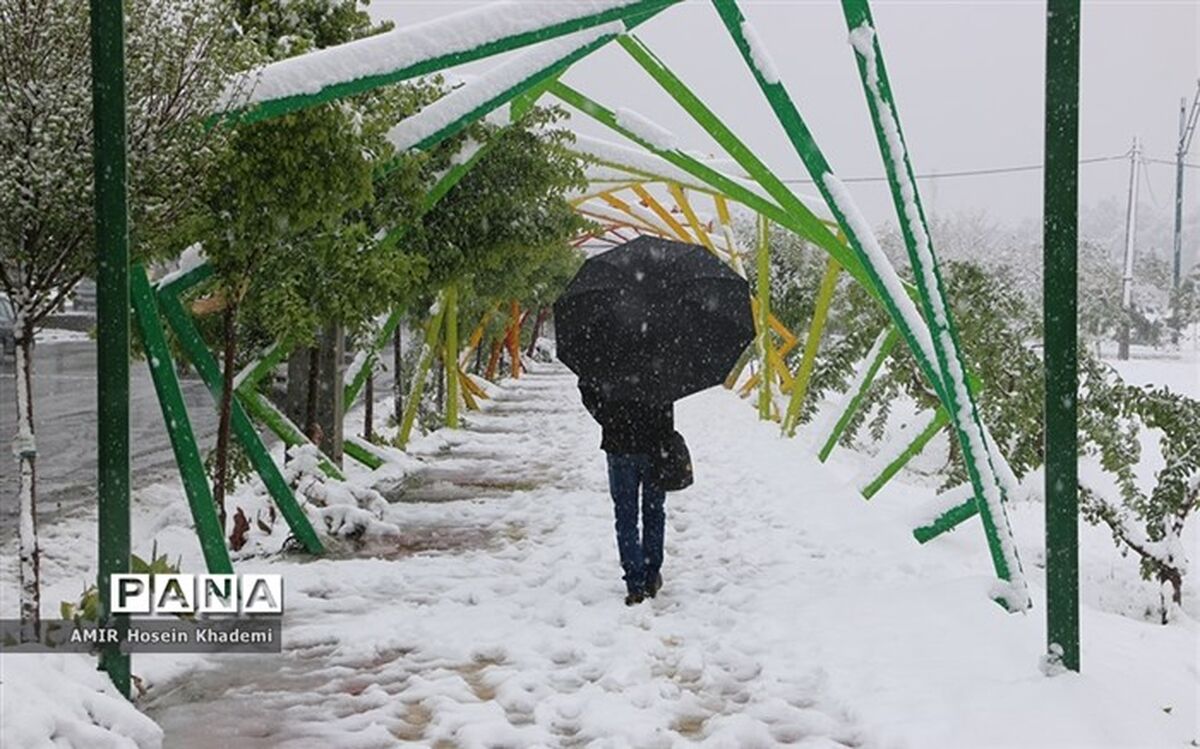 مدارس ابتدایی البرز غیرحضوری شد