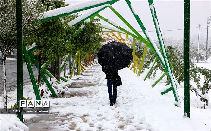 مدارس ابتدایی البرز غیرحضوری شد