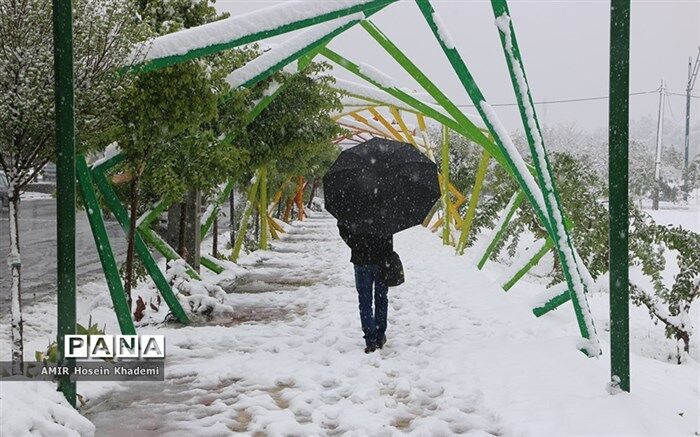 مدارس ابتدایی البرز غیرحضوری شد