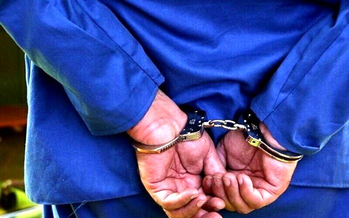 دستگیری سارق با 7 فقره سرقت در بیرجند