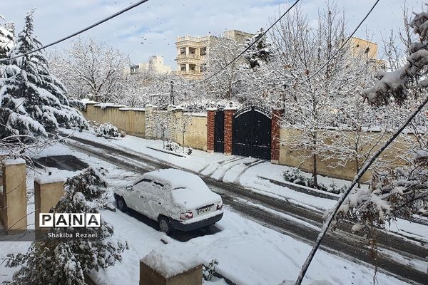 رخت سفید زمستان بر تن طبیعت دماوند