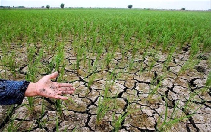 آمادگی وزارت کشور برای سیاست‌گذاری در حوزه مدیریت مشترکان پرمصرف آب