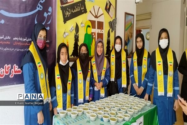 همایش دختران زهرایی ناحیه 4 شیراز