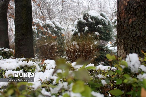 زمین در اردوگاه شهید باهنر لباس سپید به تن کرد