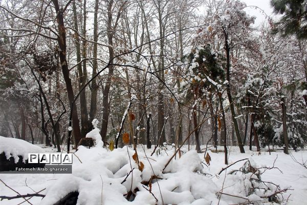 زمین در اردوگاه شهید باهنر لباس سپید به تن کرد