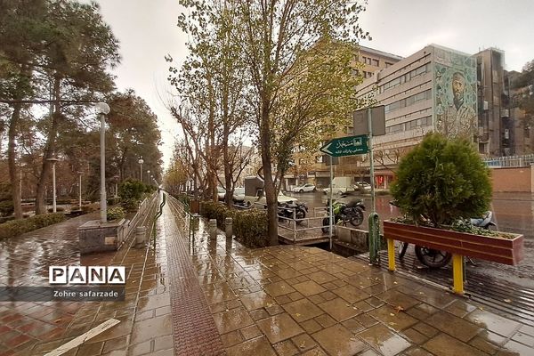 پارک لاله تهران در‌ یک روز بارانی