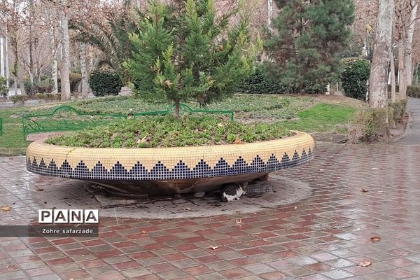 پارک لاله تهران در‌ یک روز بارانی