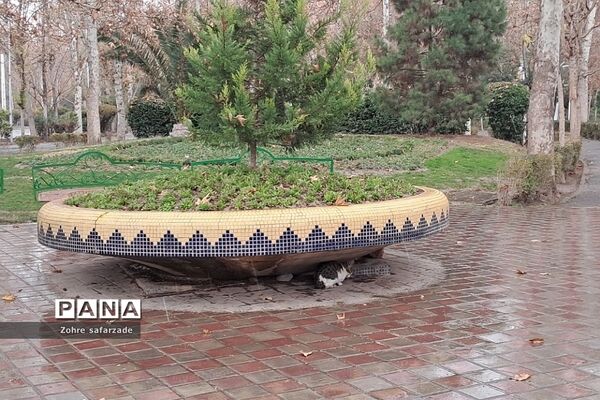 پارک لاله تهران در‌ یک روز بارانی