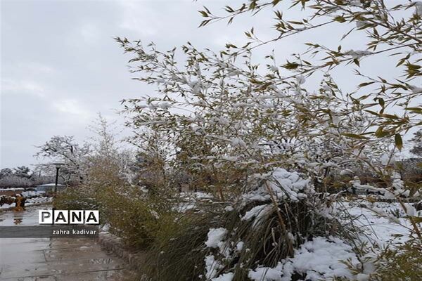 روز برفی در آباده