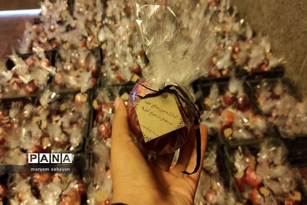 بسته بندی و توزیع ۳ هزار سیب در شبستان امام خمینی(ره) حرم شاهچراغ(ع)