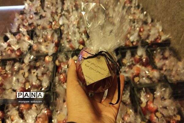بسته بندی و توزیع ۳ هزار سیب در شبستان امام خمینی(ره) حرم شاهچراغ(ع)