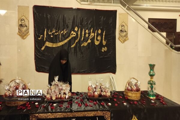 بسته بندی و توزیع ۳ هزار سیب در شبستان امام خمینی(ره) حرم شاهچراغ(ع)
