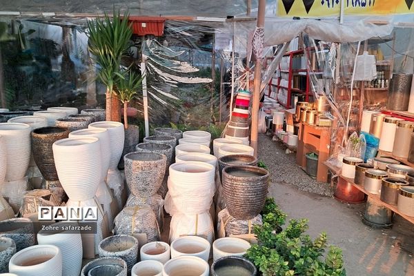 زیبایی‌های بازار گل محلاتی تهران