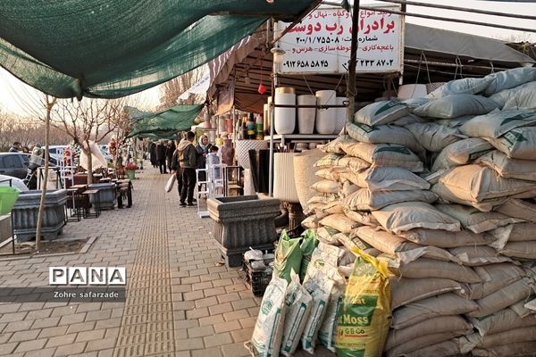 زیبایی‌های بازار گل محلاتی تهران