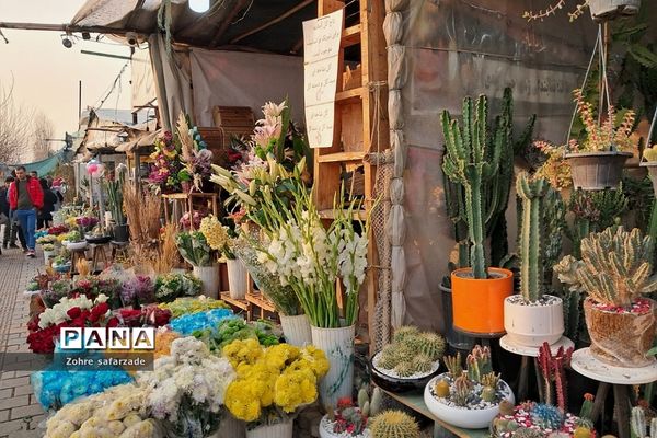 زیبایی‌های بازار گل محلاتی تهران
