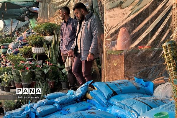 زیبایی‌های بازار گل محلاتی تهران