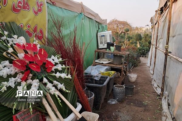 زیبایی‌های بازار گل محلاتی تهران