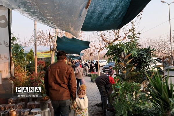 زیبایی‌های بازار گل محلاتی تهران