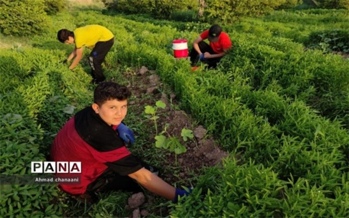 دانش‌آموزان هنرستانی،سرمایه‌های بزرگ بخش کشاورزی در آینده هستند