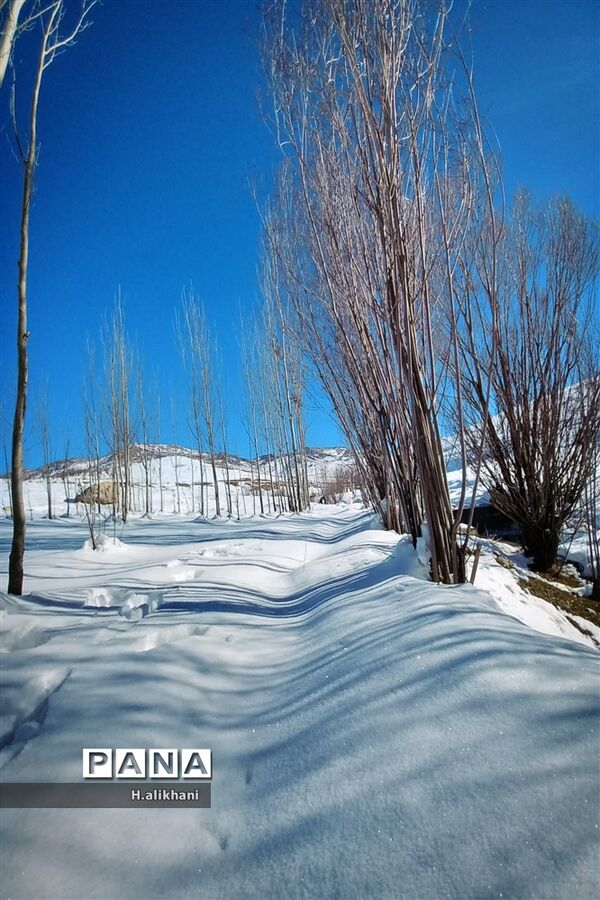 طبیعت برفی روستای دره بید شهرستان کوهرنگ