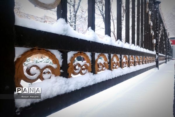 عروسی زمستان در تبریز