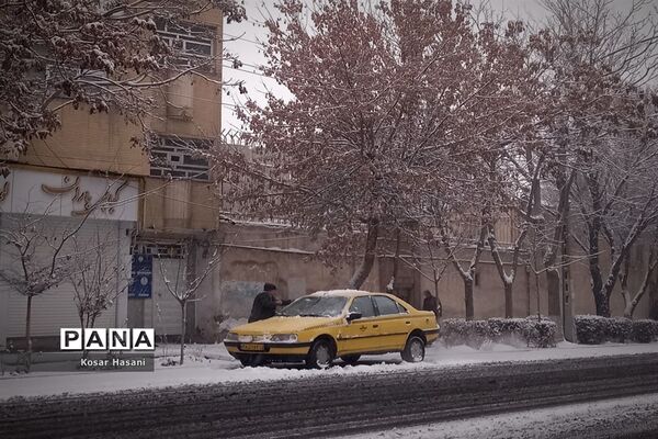 عروسی زمستان در تبریز