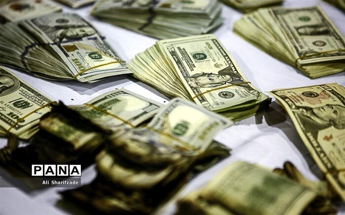کشف ۸۰ میلیارد ریال ارز قاچاق