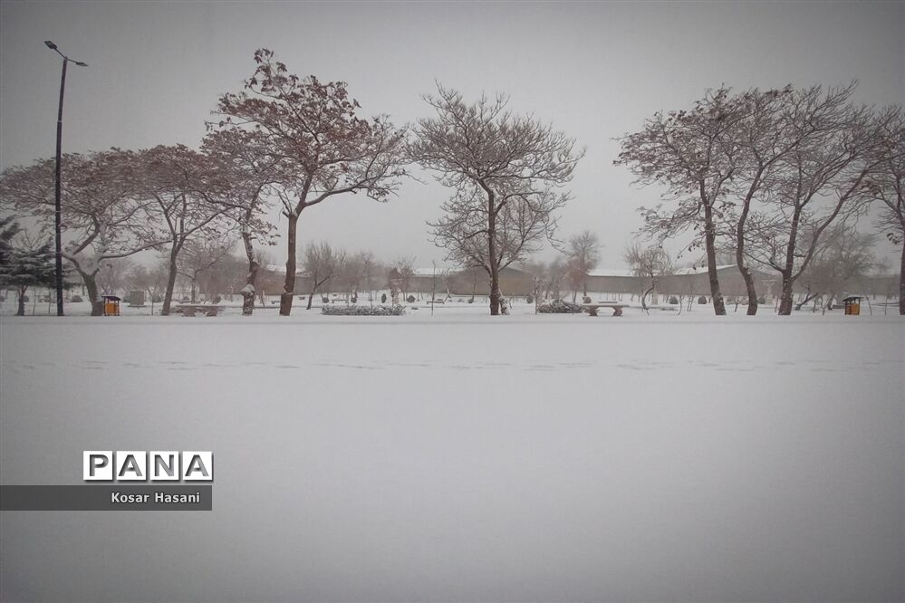 هشدار مدیریت بحران برای کاهش دمای شبانه در تهران