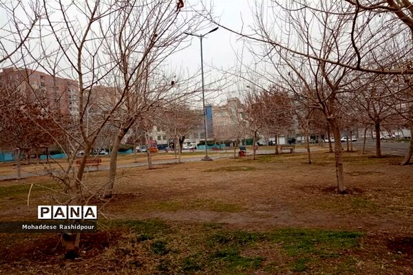 طبیعت زیبای بوستان شهید ندایی شهرستان اسلامشهر