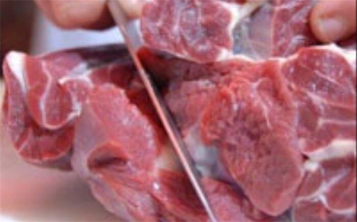 عرضه گسترده گوشت قرمز منجمد با قیمت‌های مصوب از امروز