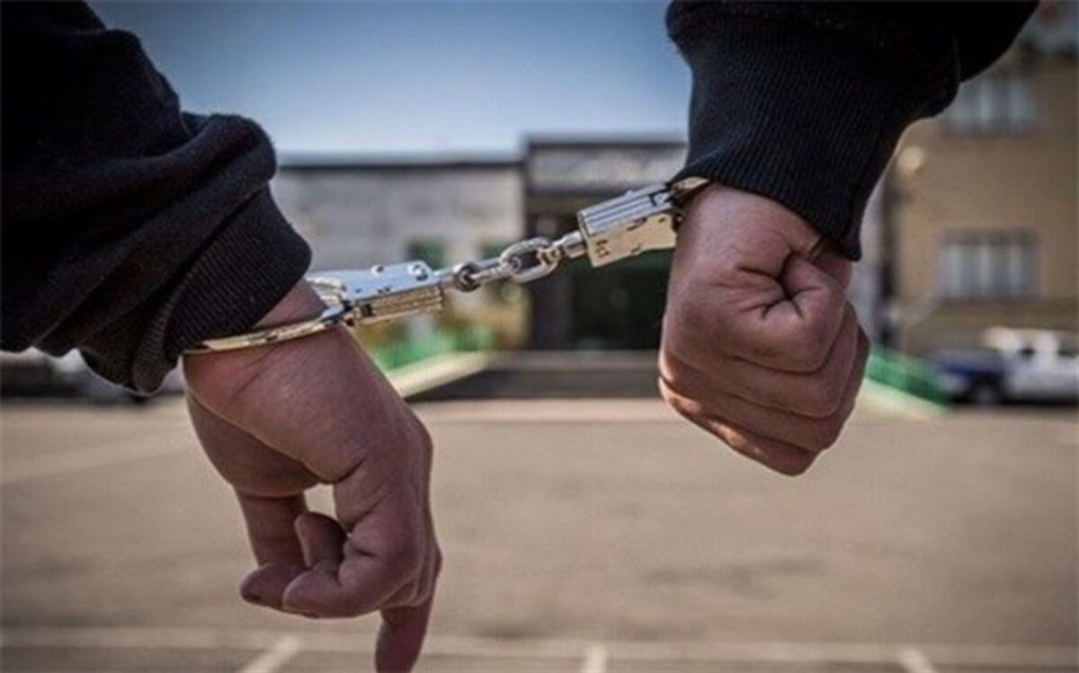 دستگیری ۱۳ نفر از عوامل ایجاد ناآرامی در بهشت‌زهرا(س)