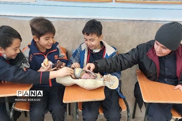 اردوی علمی پژوهشی دانش‌آموزان دبستان آیت‌الله سعیدی فشافویه