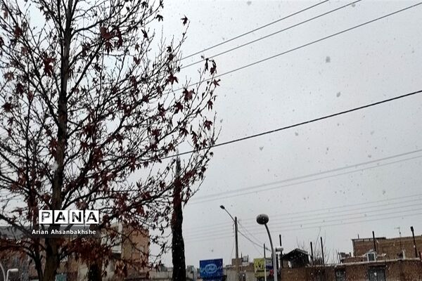 بارش برف بعد از سال‌ها  انتظار در کاشمر