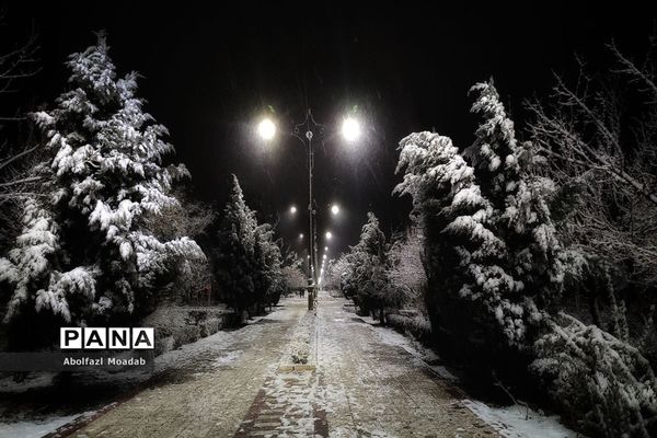 بارش برف بعد از سال‌ها  انتظار در کاشمر