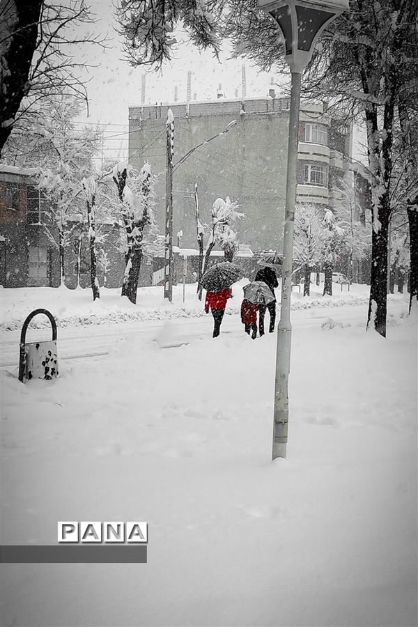 شهرستان فارسان،سفید پوش شد