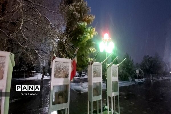 کاشمر هم رنگ برف را دید